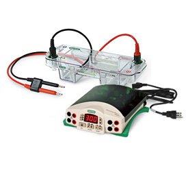 Mini-Sub® Cell GT Horizontal Electrophoresis System and PowerPac™ Basic Power Supply