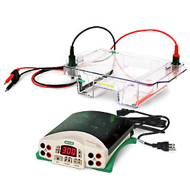 Wide Mini-Sub® Cell GT Horizontal Electrophoresis System, 15 x 10 cm tray, with PowerPac™ Basic Power Supply