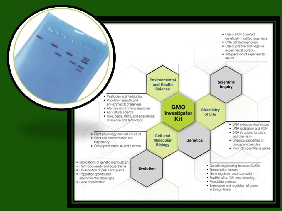 GMO Investigator Kit